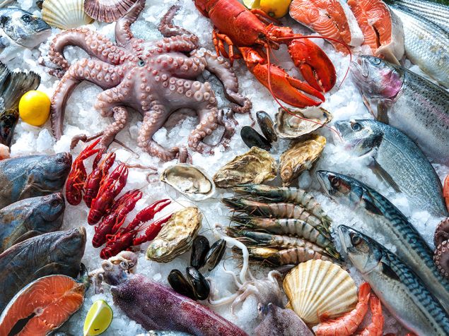 2019-05-02 - 如何选购新鲜海鲜| 美味风采Oriental Cuisine